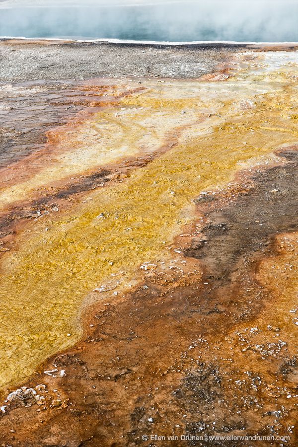 Yellowstont NP