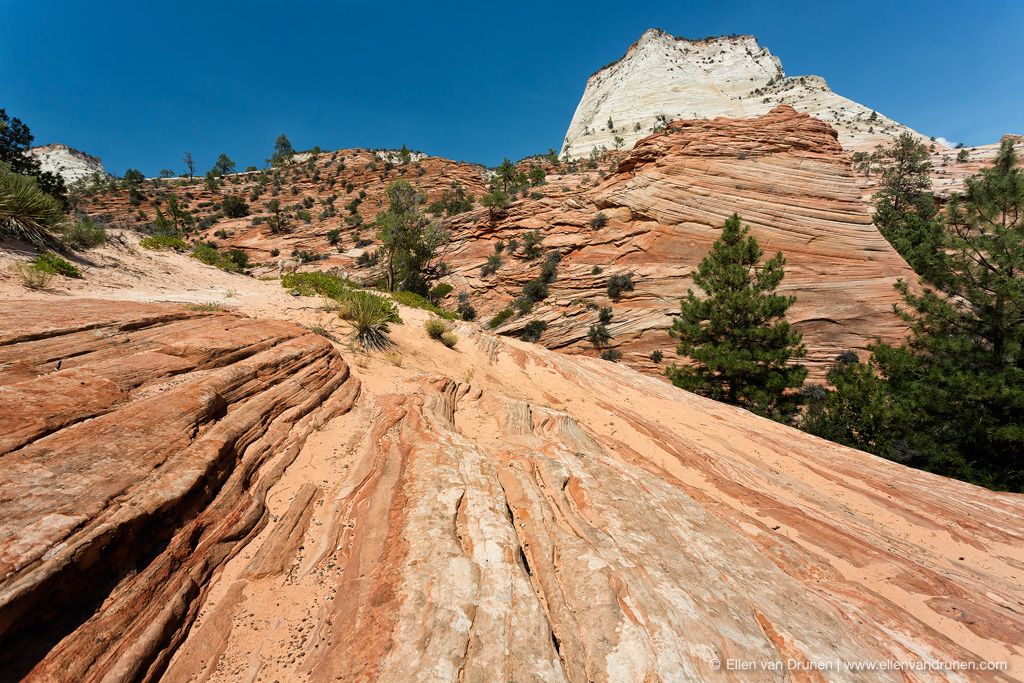 Antilope Canyon