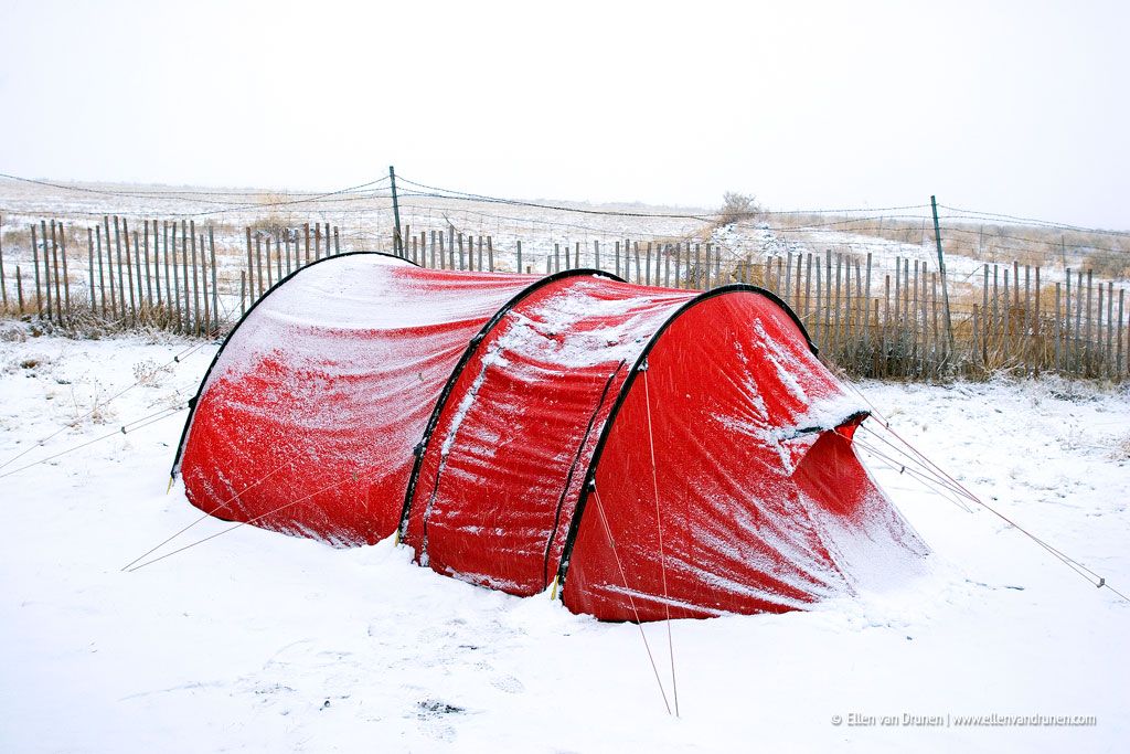 Sneeuw vlakbij de Grand Canyon