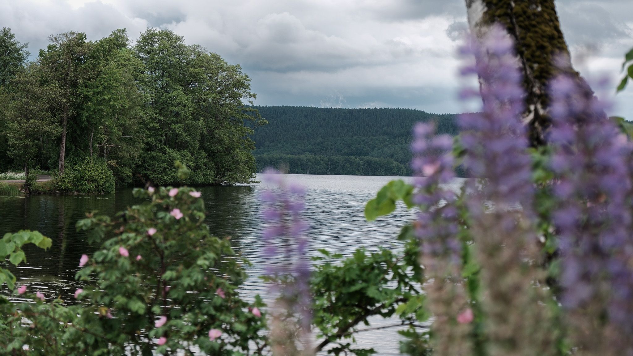 Bikepacking Kiel Gotheborg