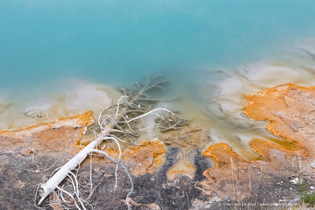 Yellowstone