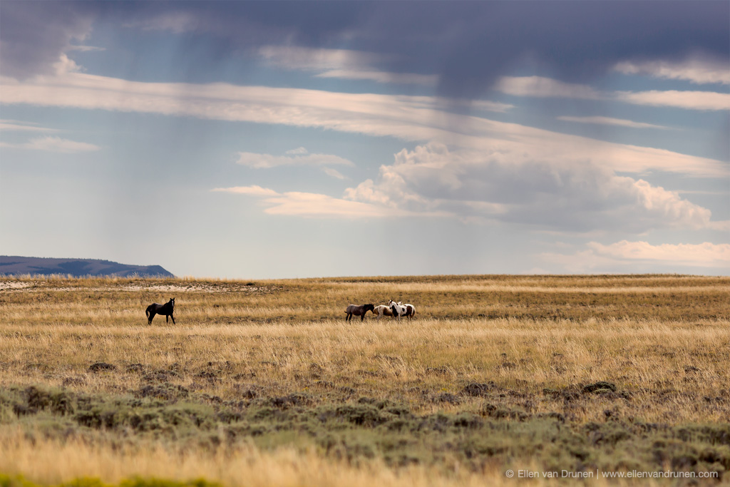 Great Basin Wyoming