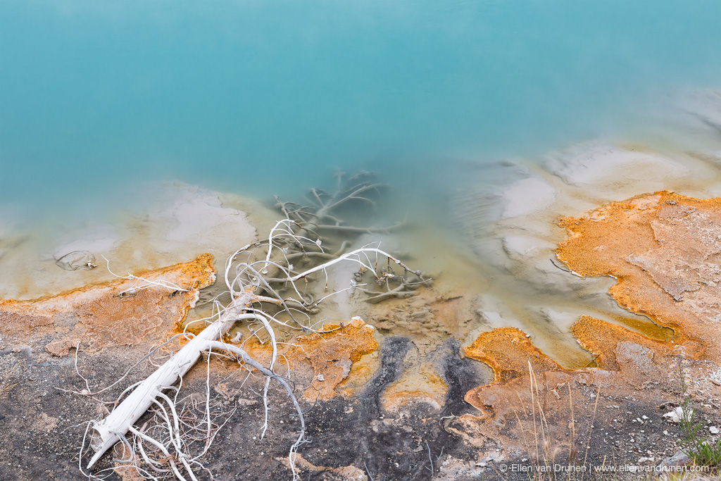 Yellowstone